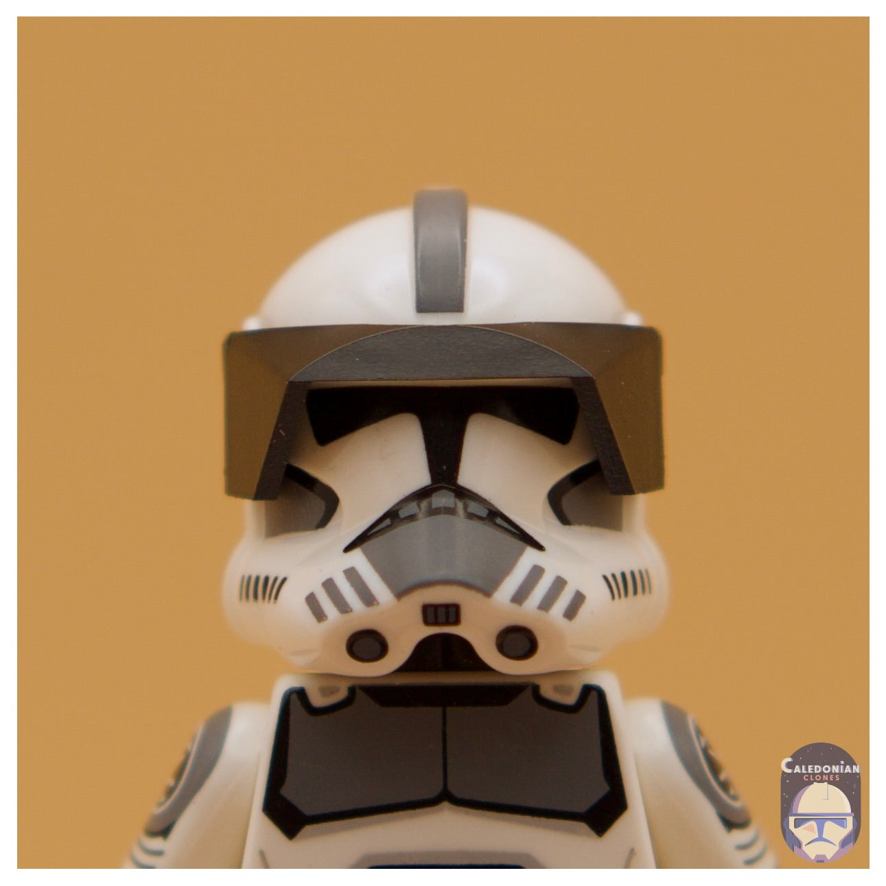 CAC Phase 1 Visor