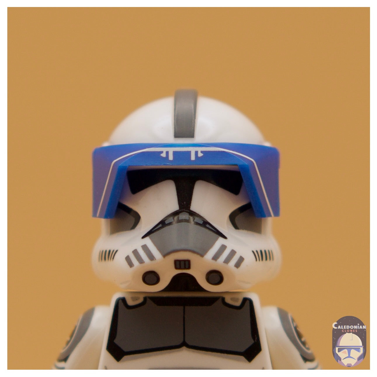 CAC Phase 1 Printed Visor