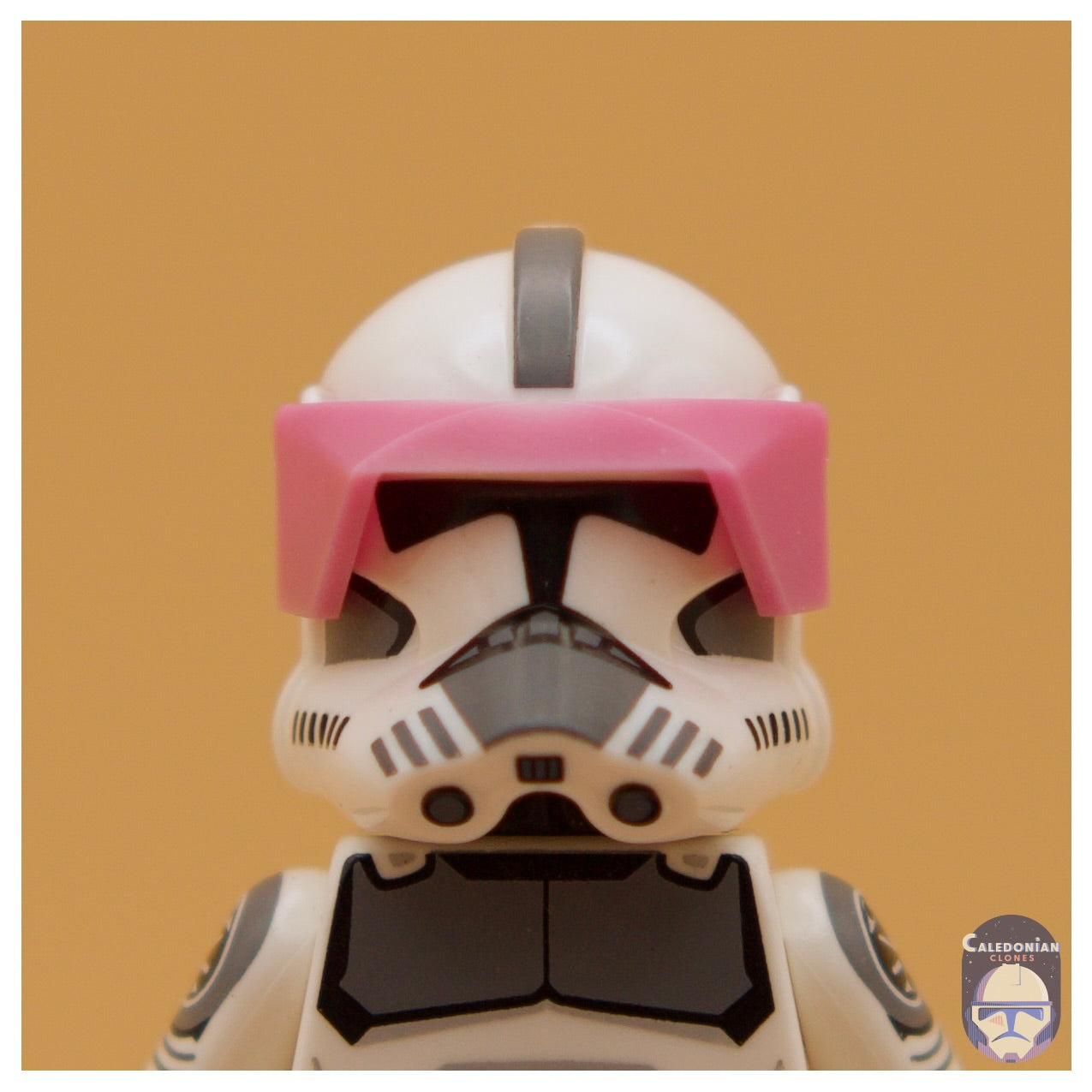 CAC Phase 1 Visor