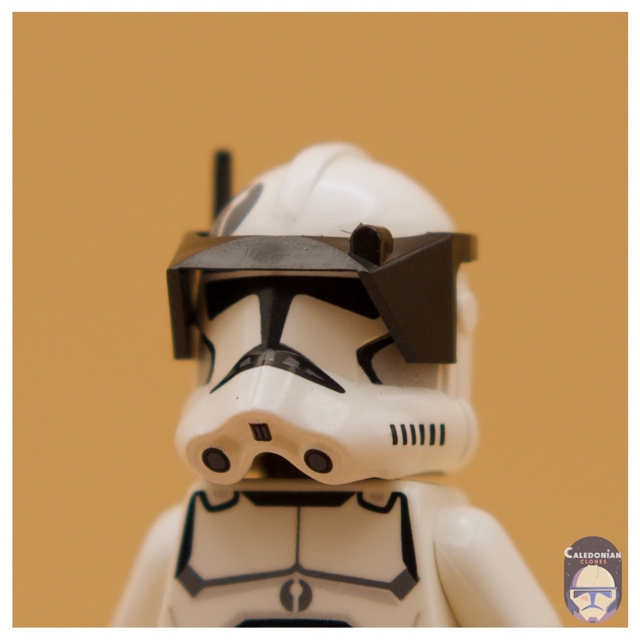 CAC Phase 2 Detail Visor