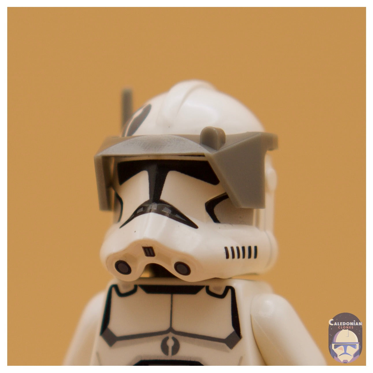 CAC Phase 2 Detail Visor
