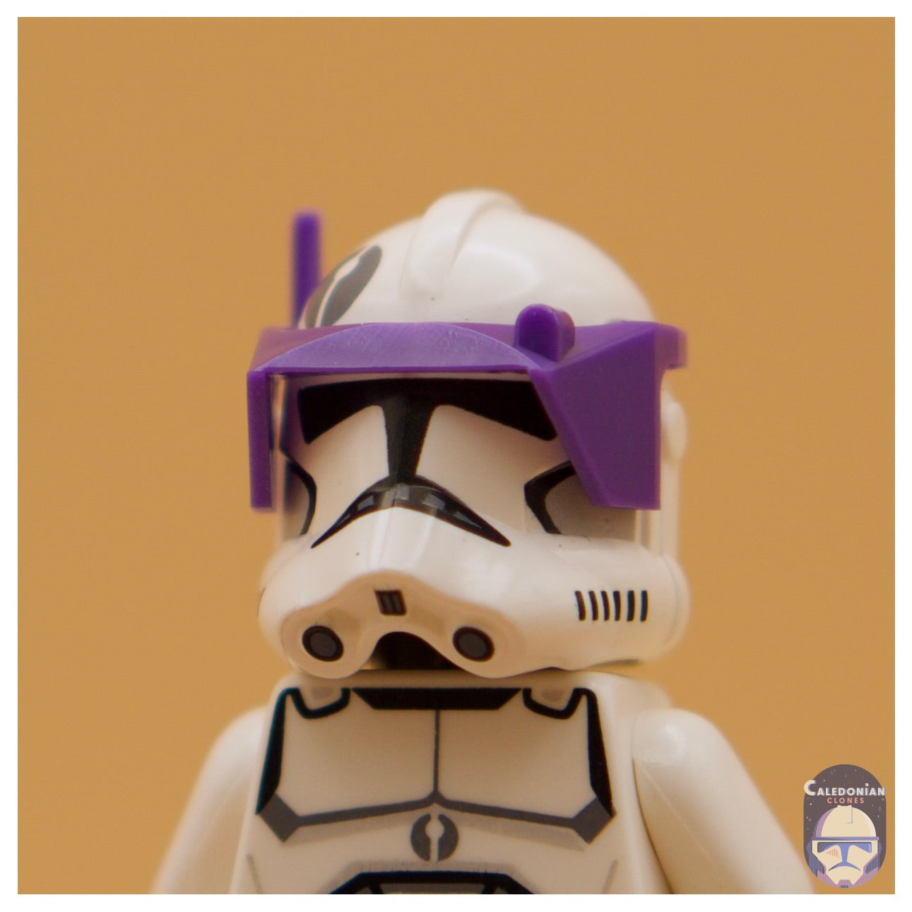 CAC Phase 2 Detail Visor