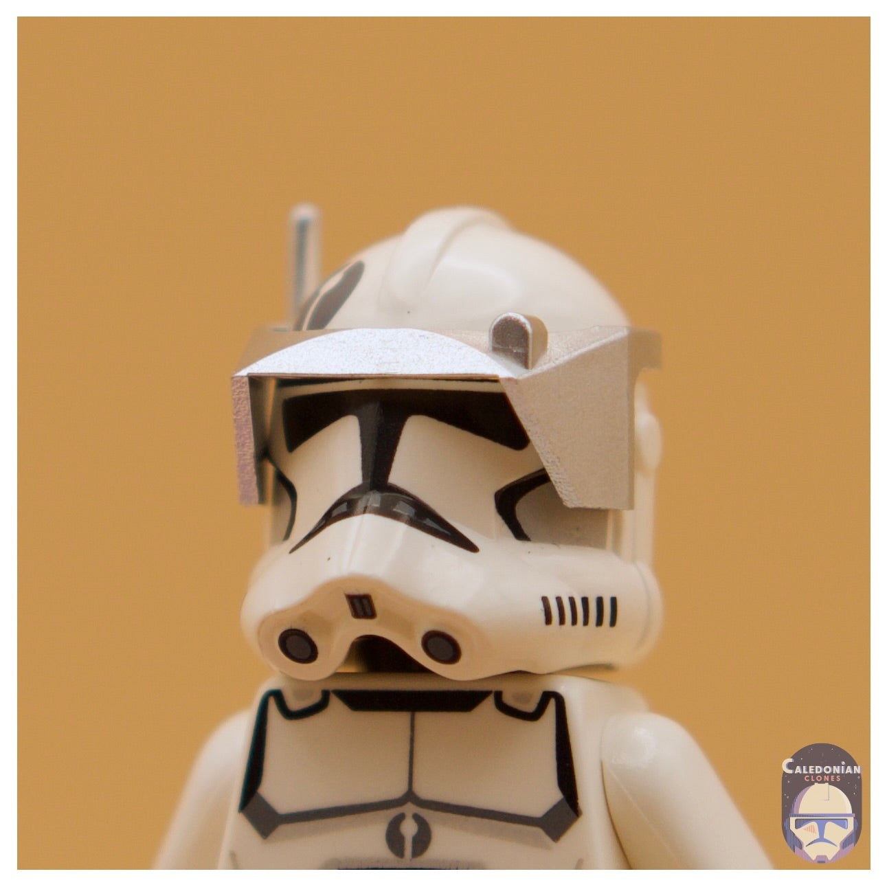 CAC Phase 2 Detail Visor