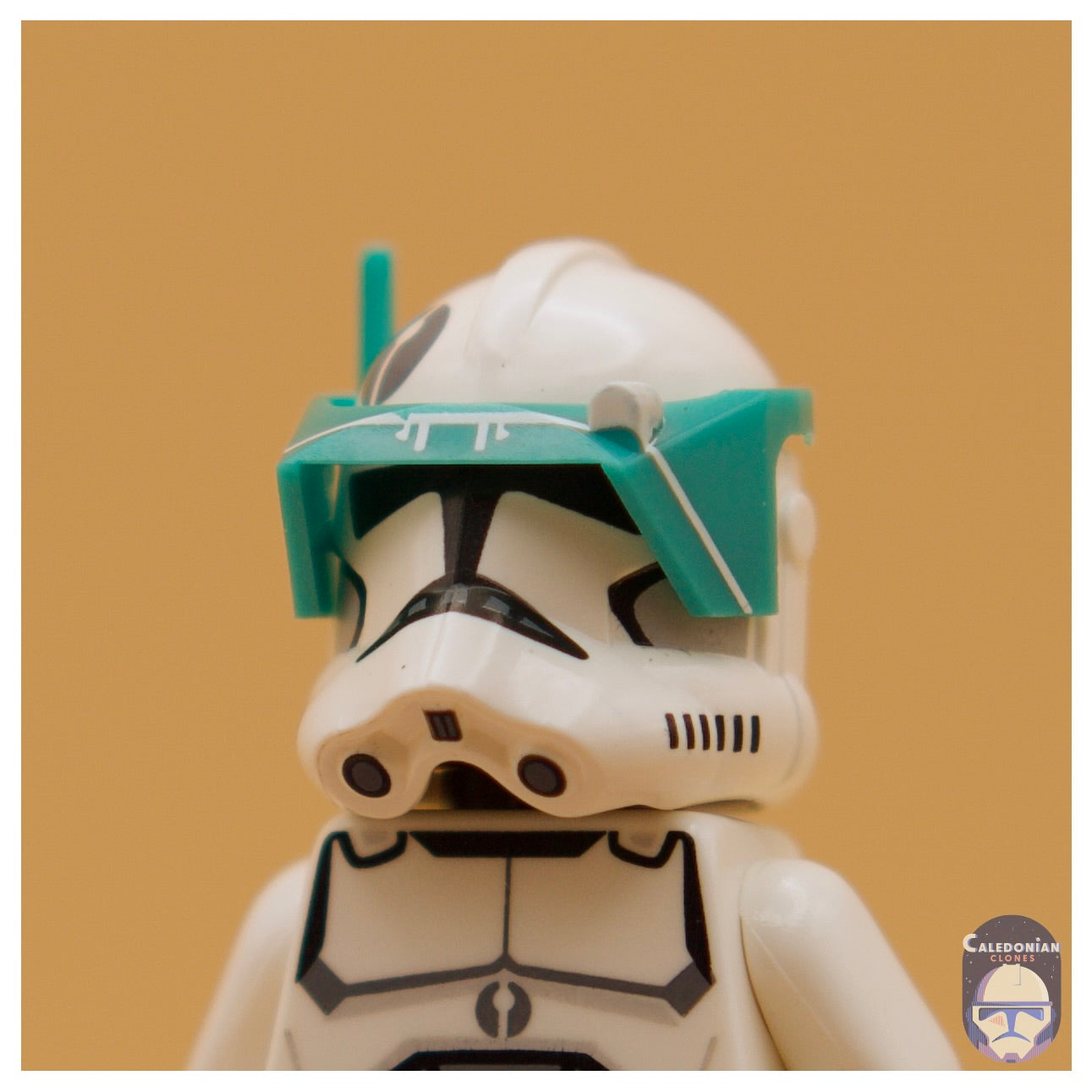 CAC Phase 2 Detail Visor (Printed)