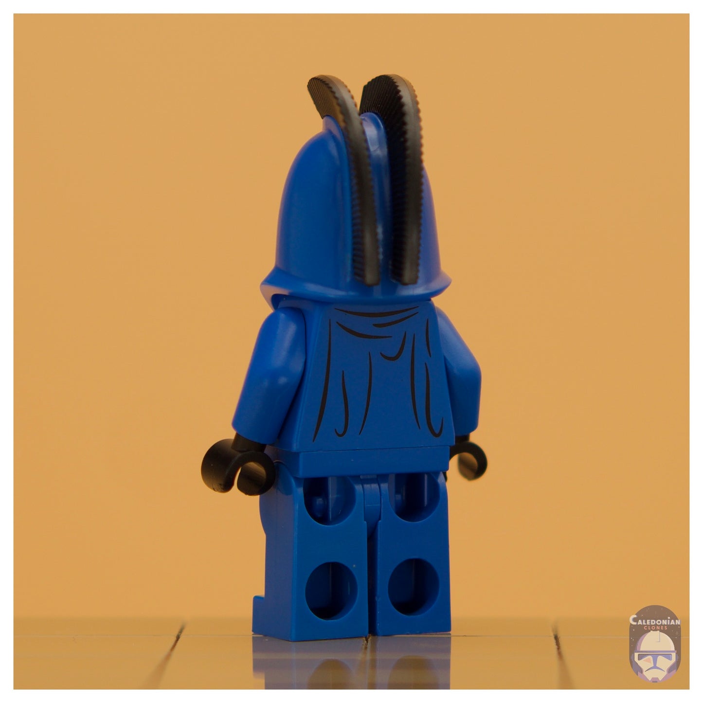 GCC Senate Guard