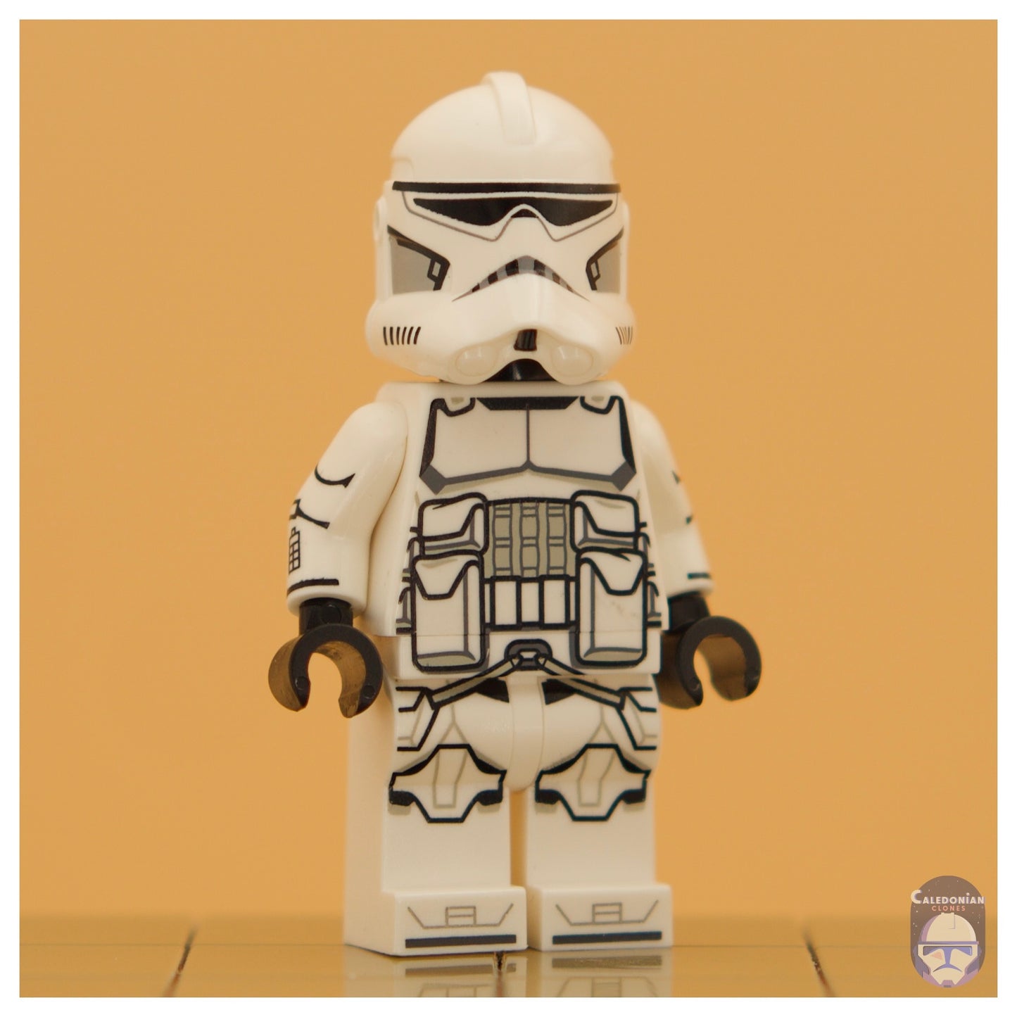GCC Grunt/Shiny BARC Trooper
