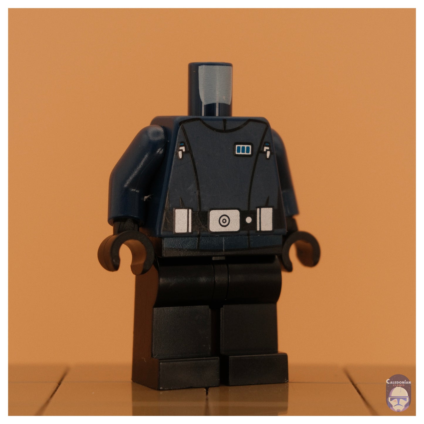 Ra'is Imperial Senate Security Replacement Bodies