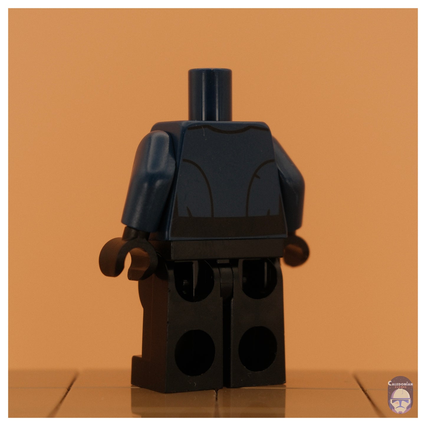 Ra'is Imperial Senate Security Replacement Bodies