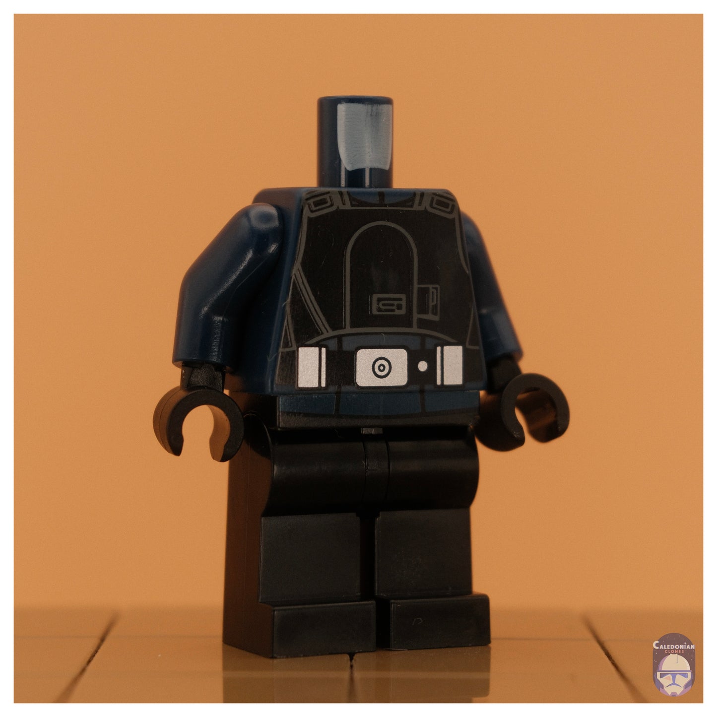 Ra'is Imperial Senate Security Replacement Bodies