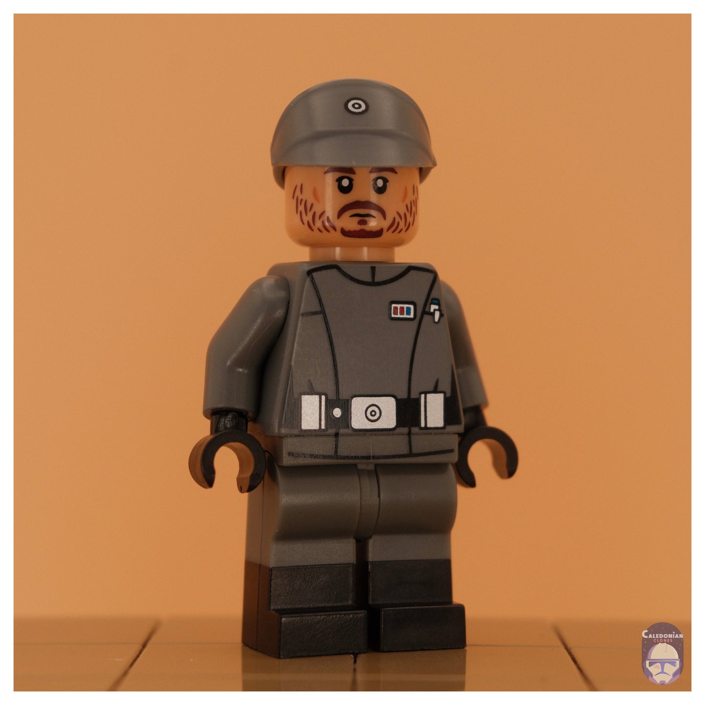 Ra'is Cassian Andor (Scarif Disguise)