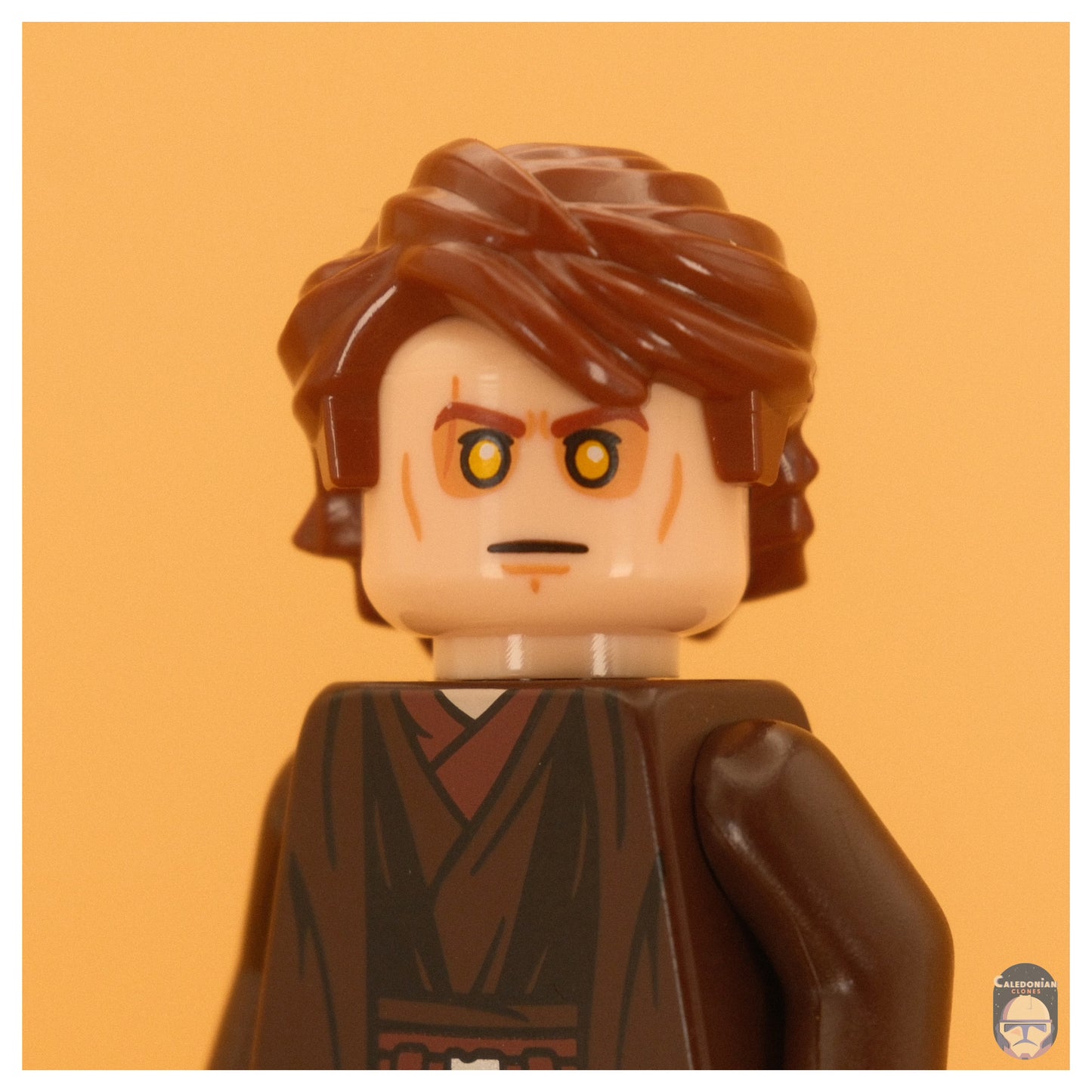 Ra'is Anakin (Ep III, Brown Cloak)