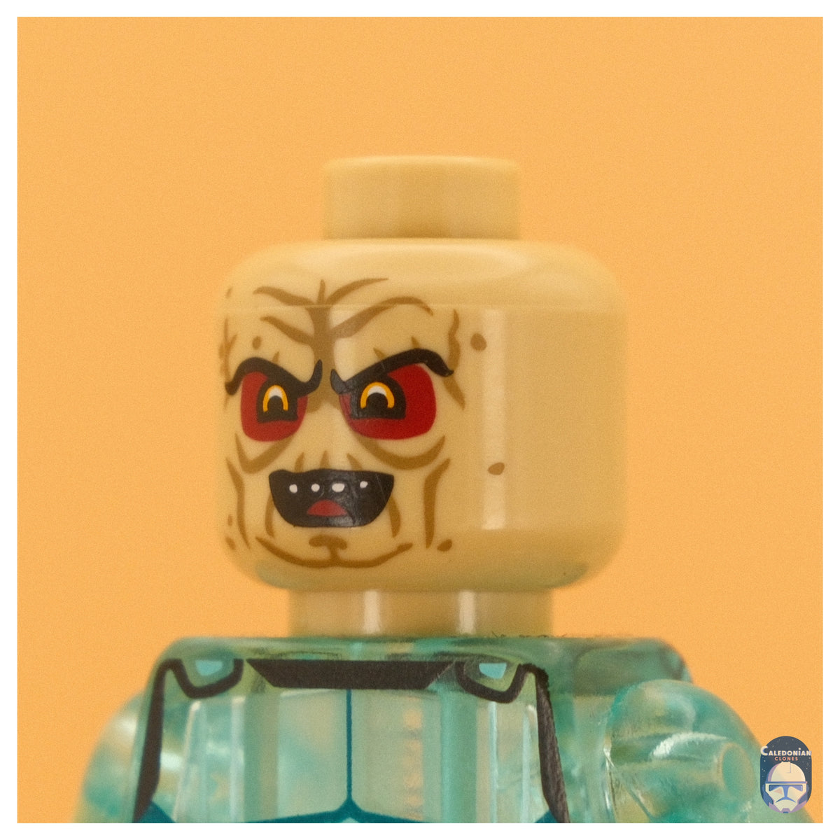 Ra'is The Senate Pupil Head