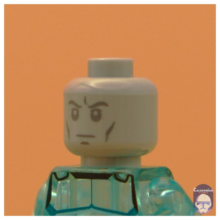 GCC Trooper Statue Head