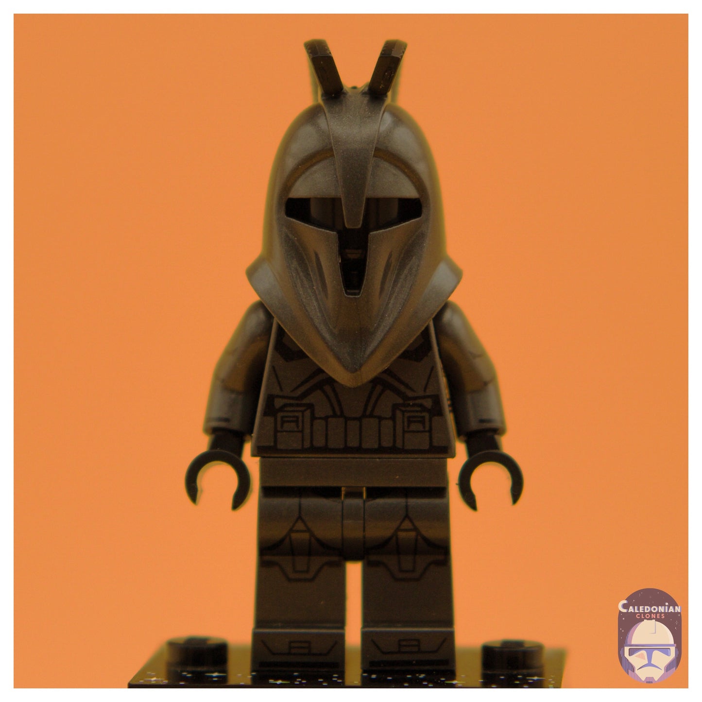 GCC Iron Senate Guard