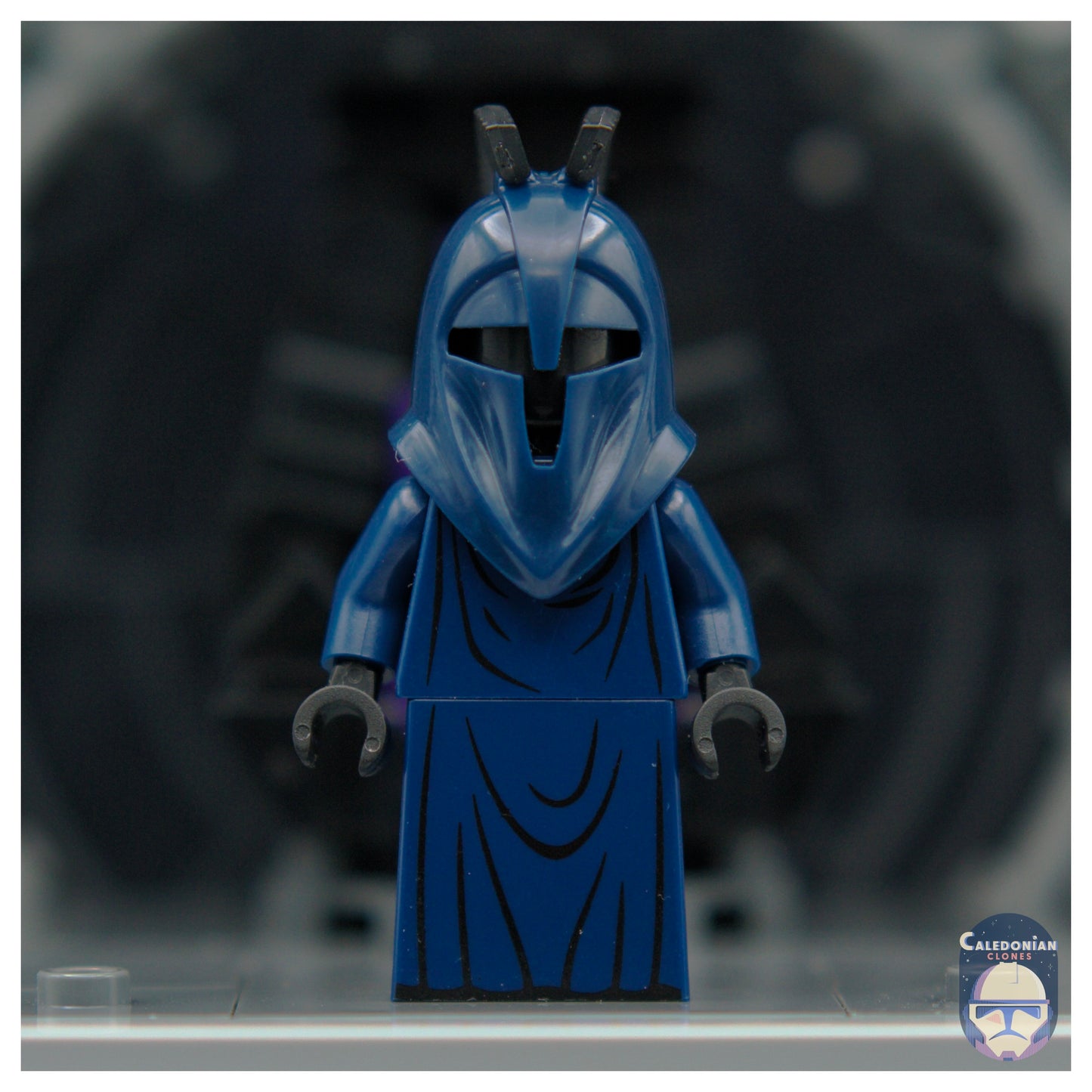 GCC Senate Knight