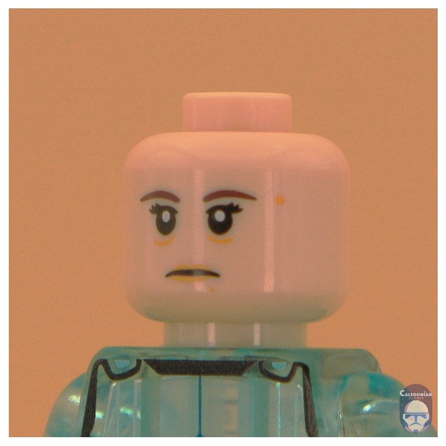Ra'is Dedra Meero Head