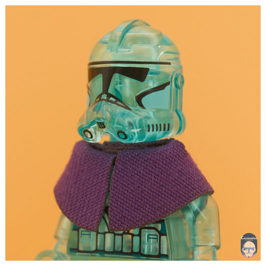 TBW The Senate Shawl