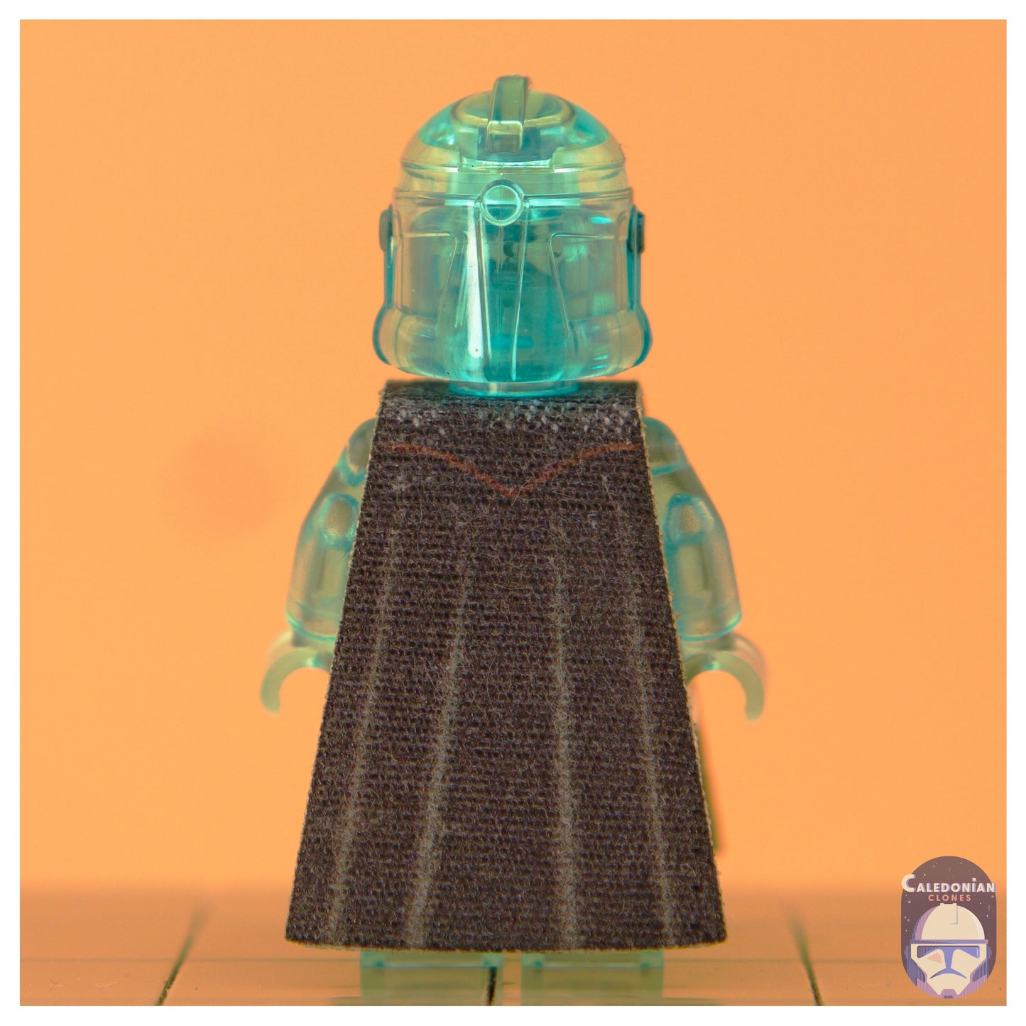 TBW Magistrate Black Robe Back