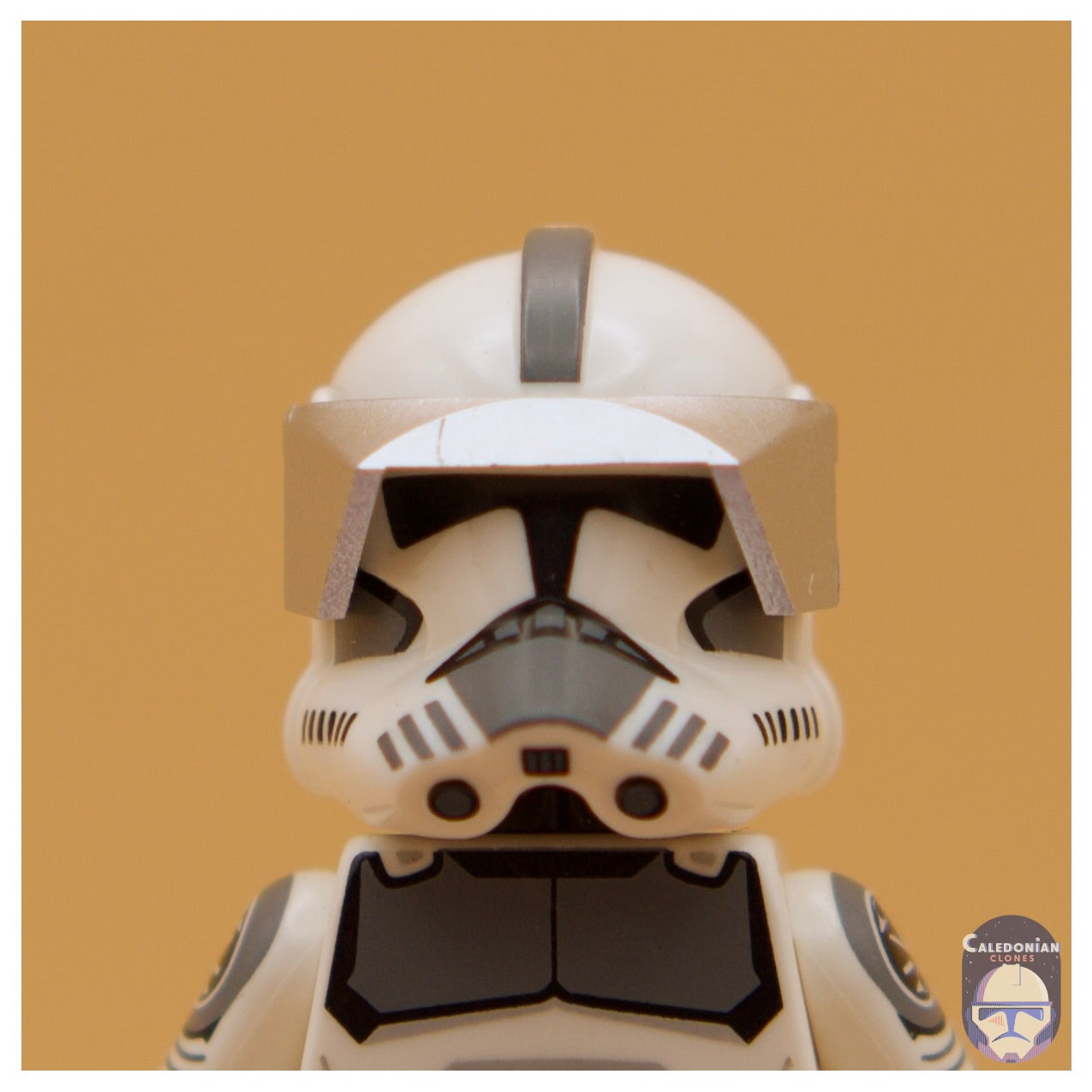 CAC Phase 1 Visor