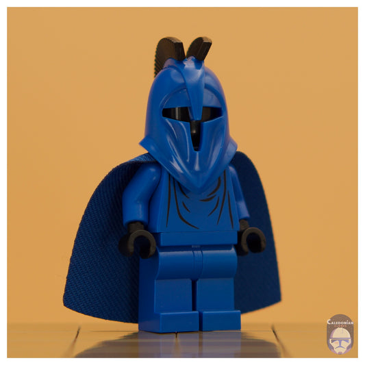 GCC Senate Guard