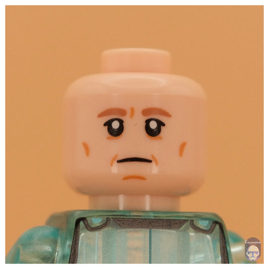 Ra'is Luthen Rael Head