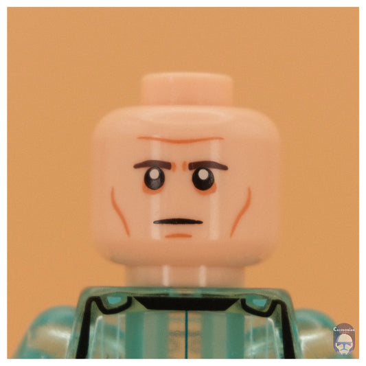 Ra'is Heert Head
