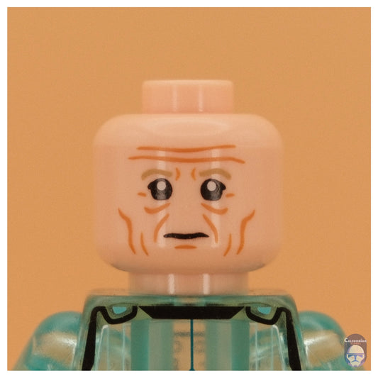 Ra'is Lagret Head