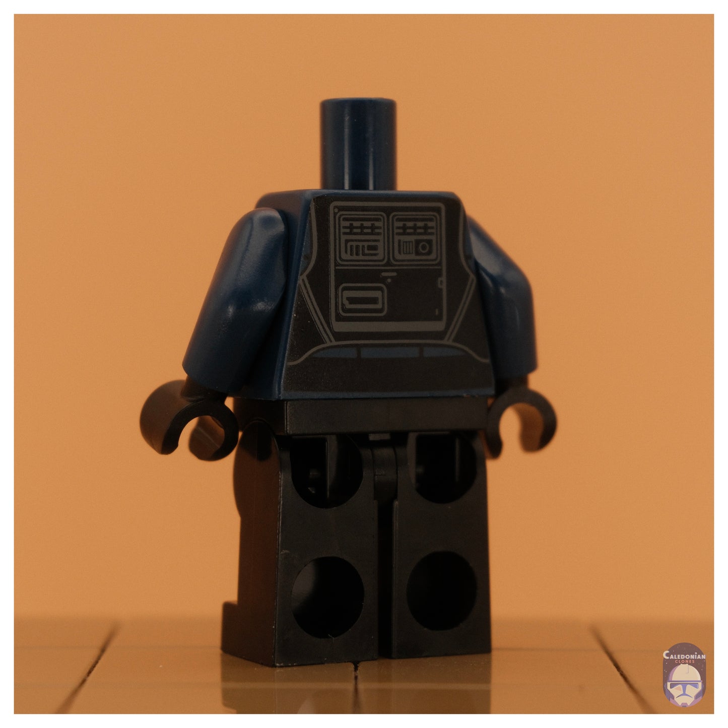 Ra'is Imperial Senate Security Replacement Bodies