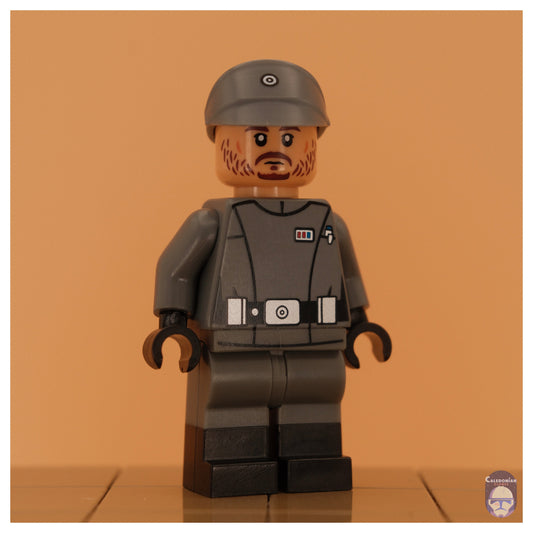 Ra'is Cassian Andor (Scarif Disguise)