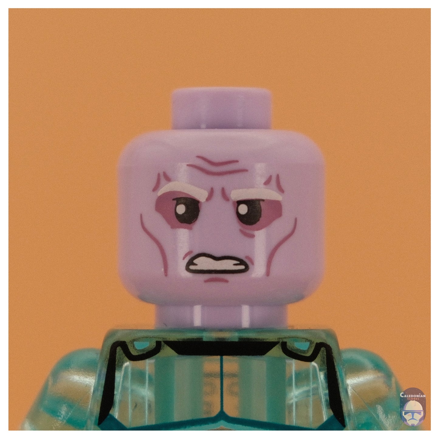 TBW x SKB Umbaran Head