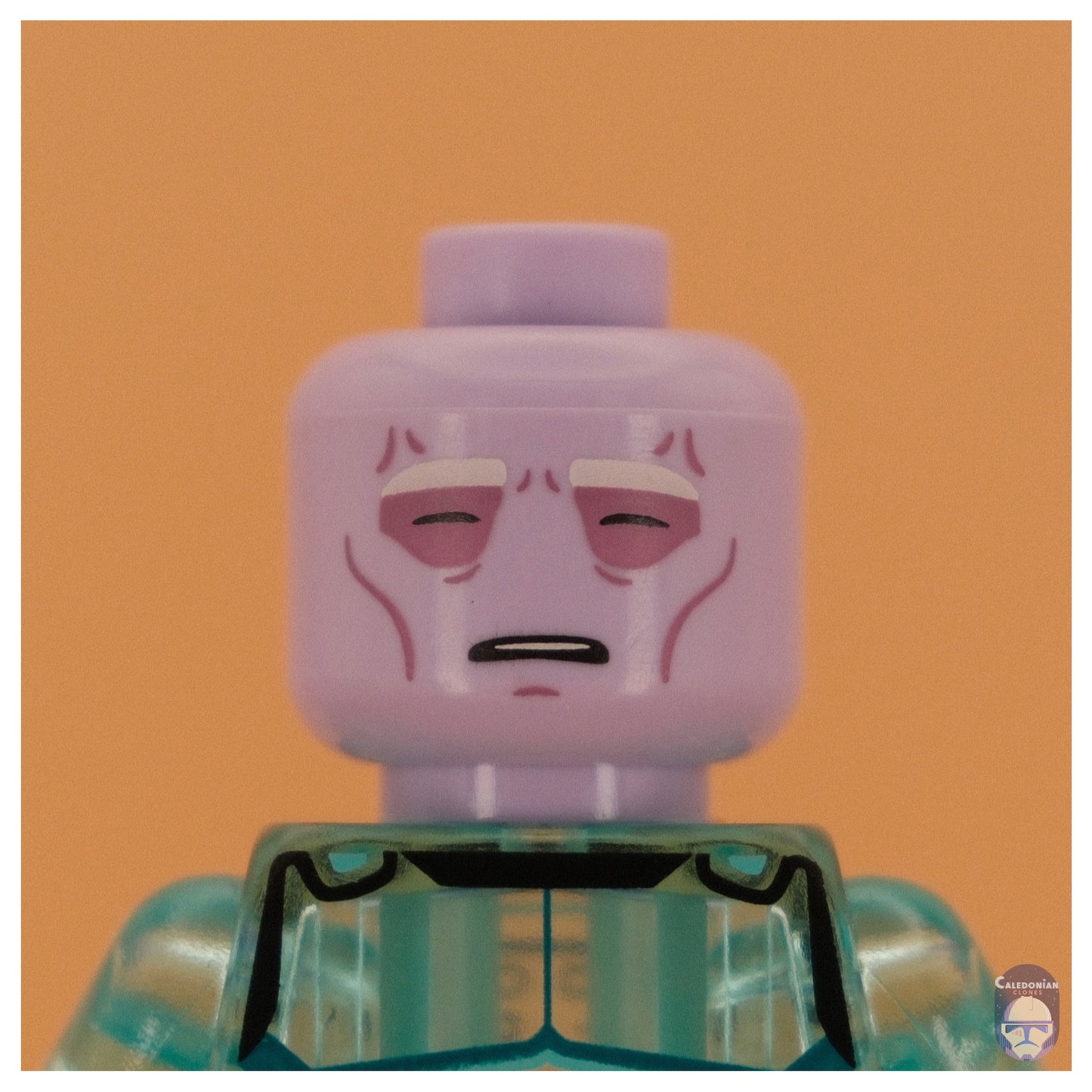 TBW x SKB Umbaran Head