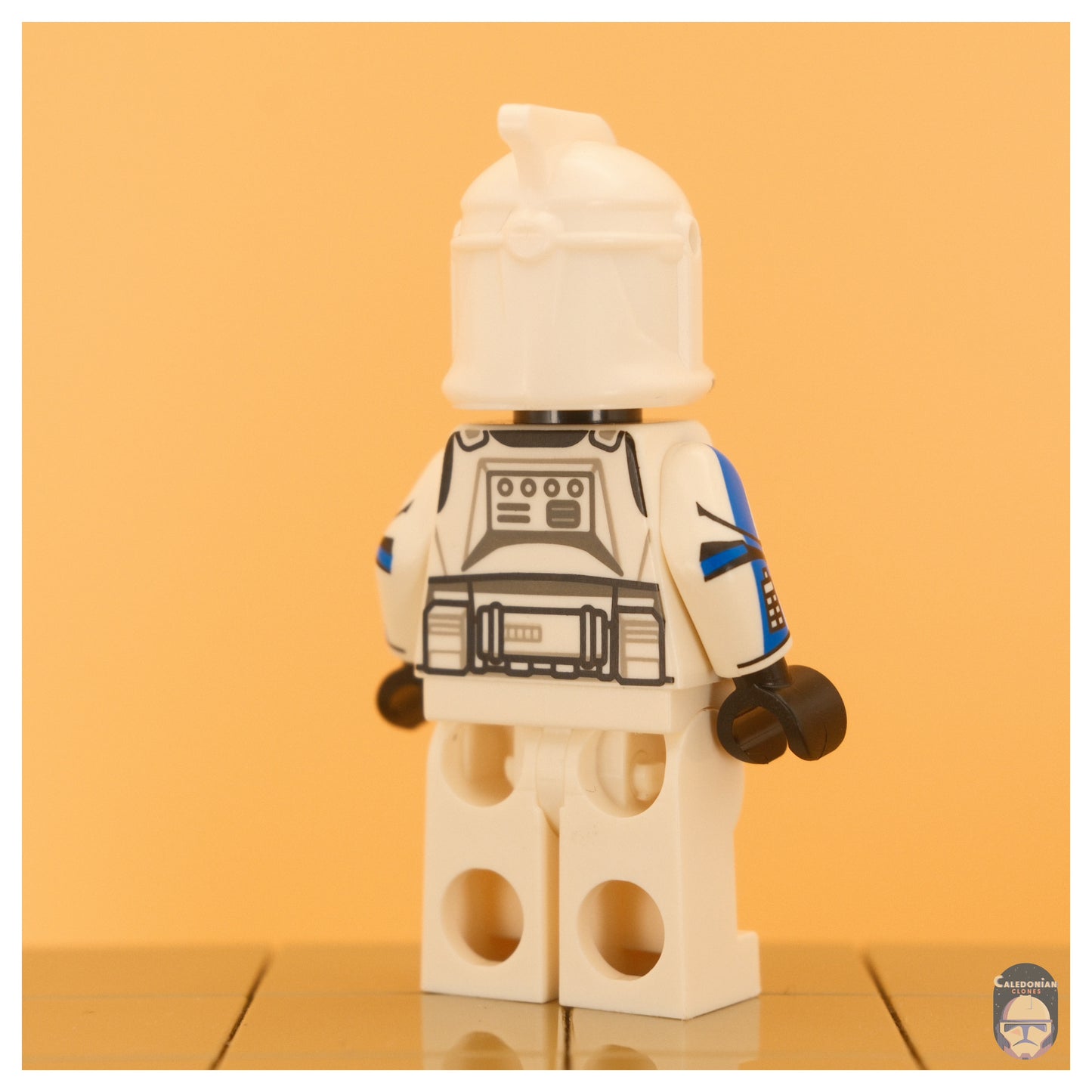Clone Brain P1 501st Trooper