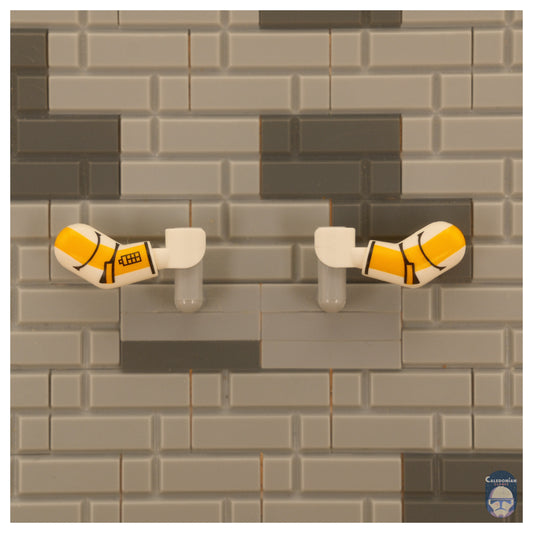 GCC P1 AotC Commander Arms