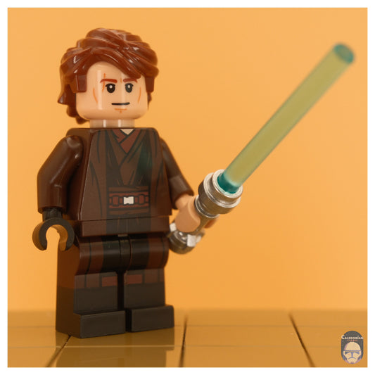 Ra'is Anakin (Ep III, Brown Cloak)