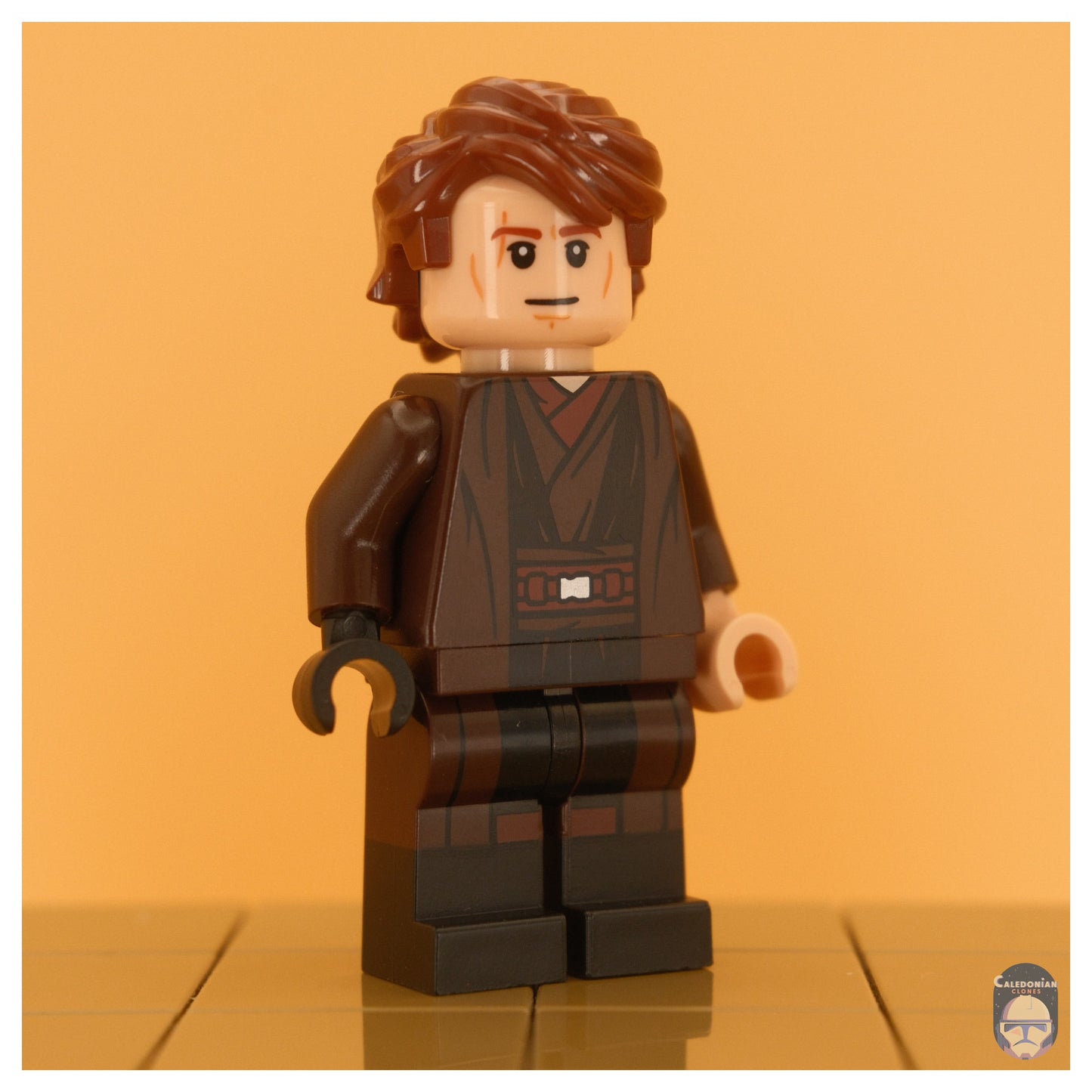 Ra'is Anakin (Ep III, Brown Cloak)