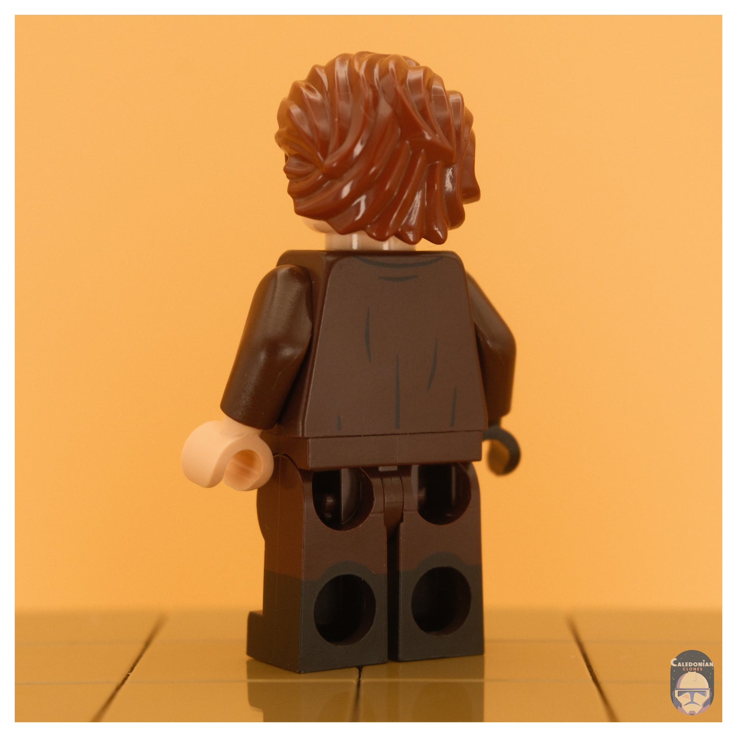 Ra'is Anakin (Ep III, Brown Cloak)
