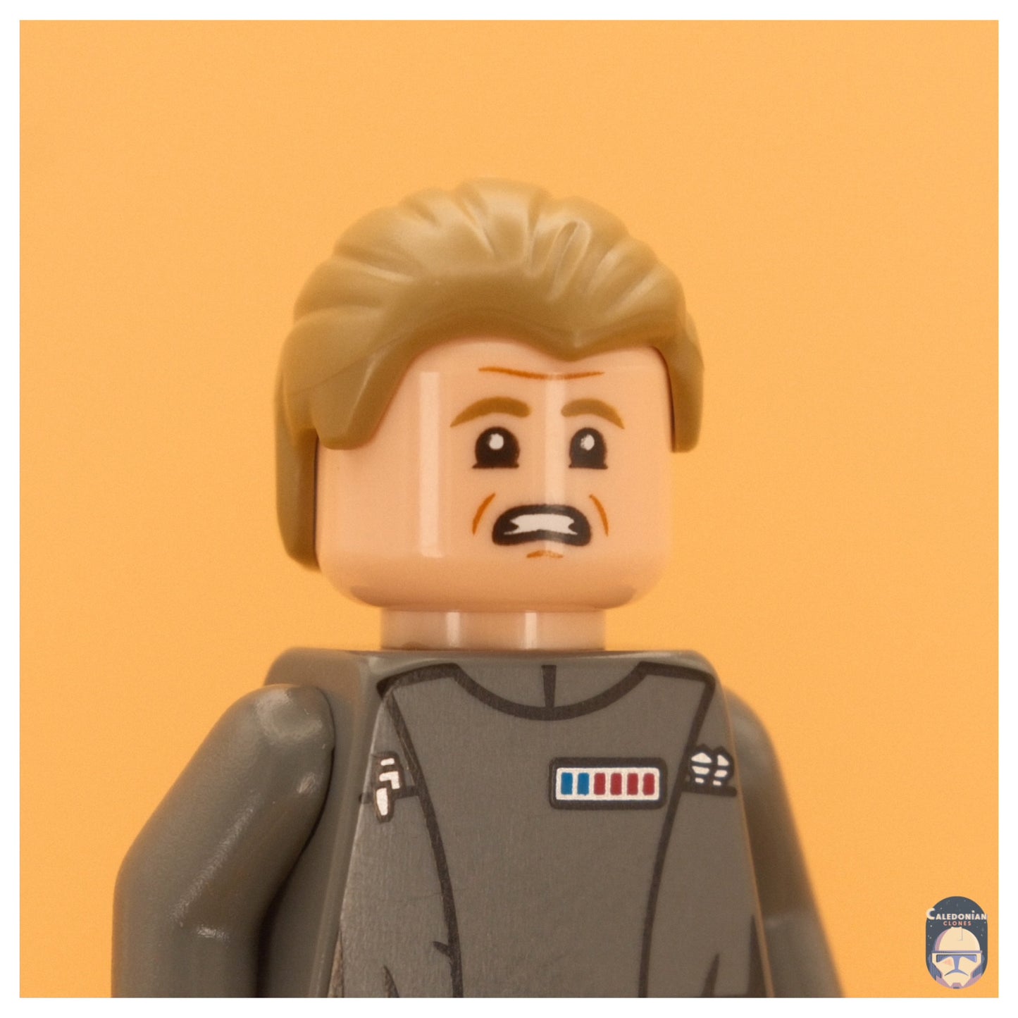 Ra'is Vice Admiral Motti