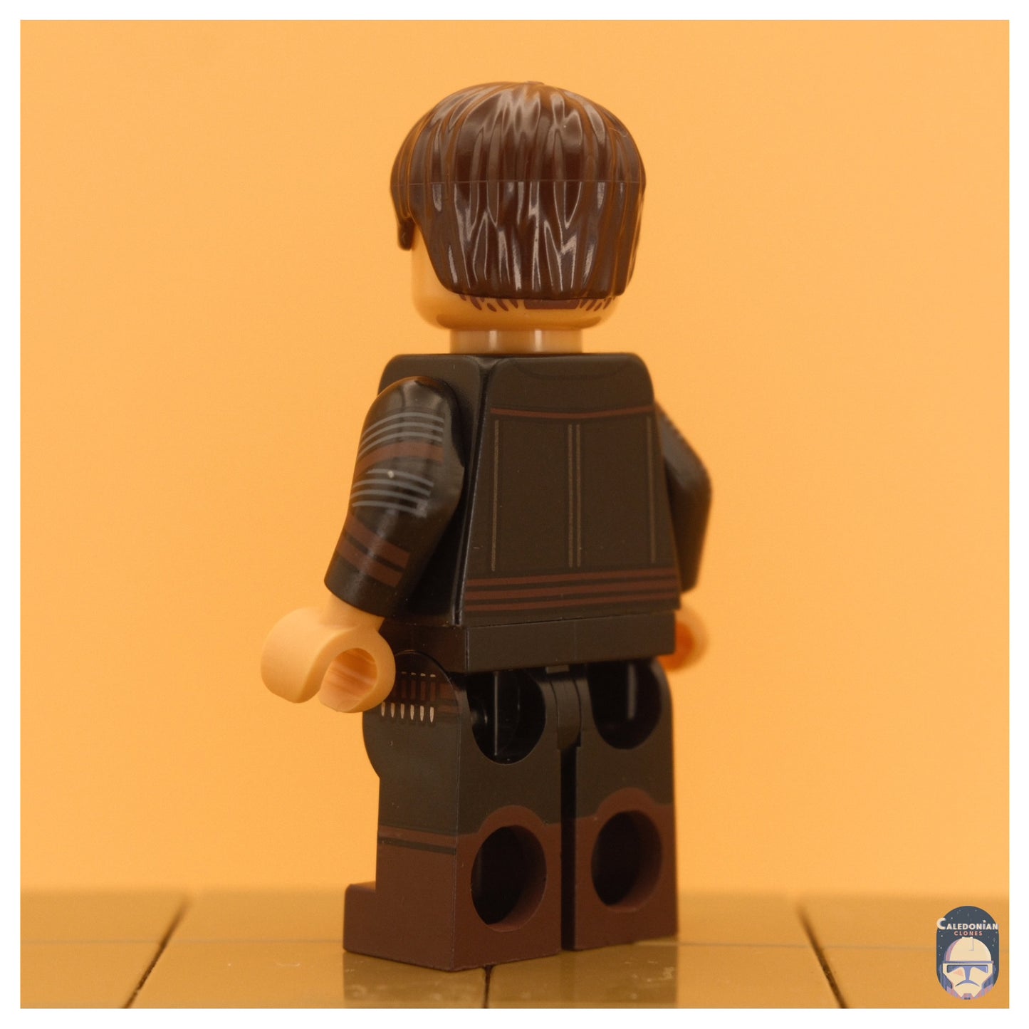 Ra'is Cassian Andor (Finale Outfit)