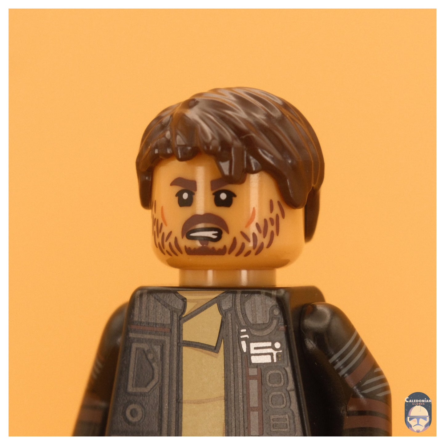 Ra'is Cassian Andor (Finale Outfit)