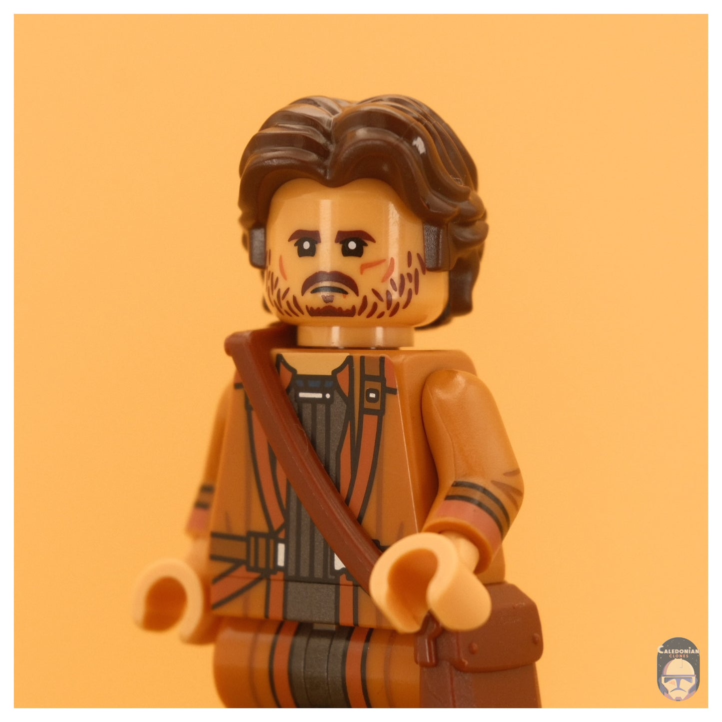 Ra'is Cassian Andor (Senate Disguise)