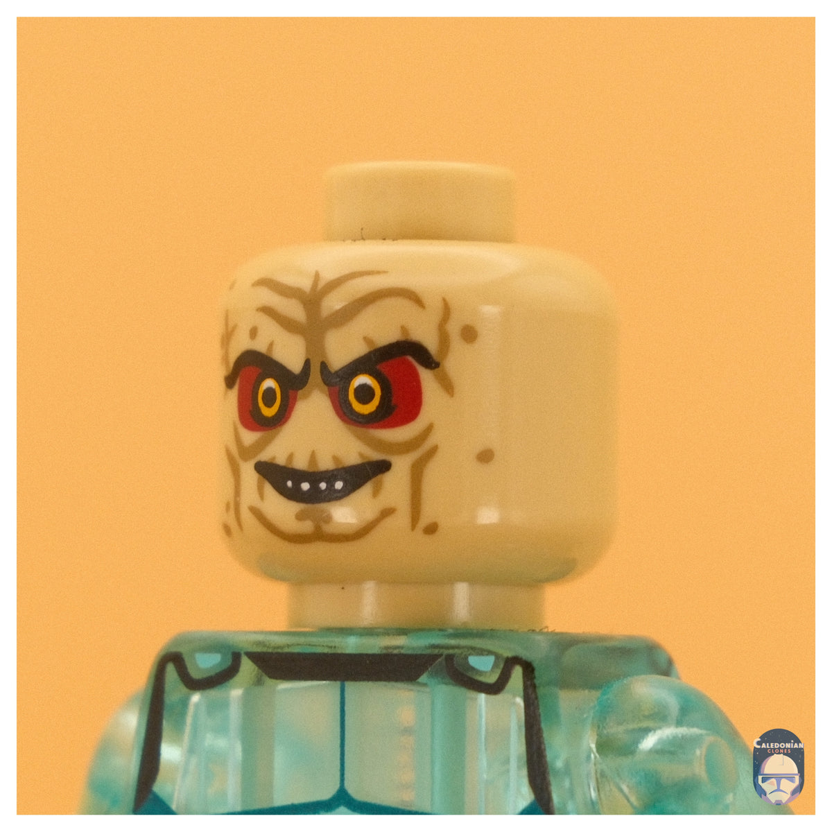 Ra'is The Senate Pupil Head