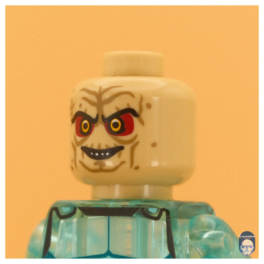 Ra'is The Senate Pupil Head