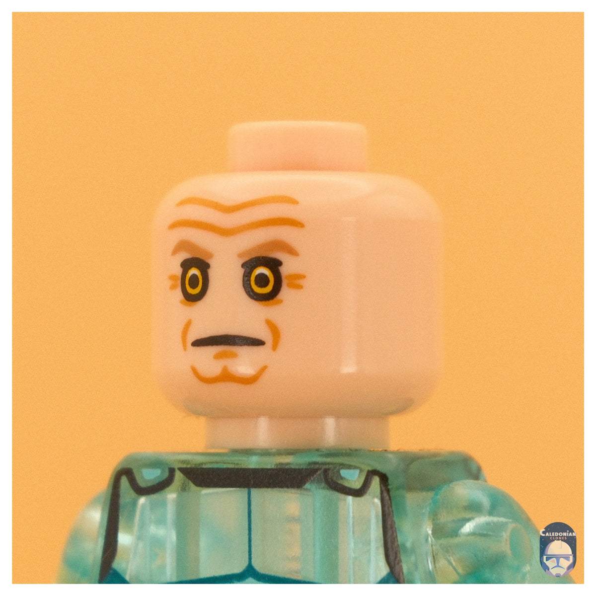 Ra'is Captive Conniver Pupil Head