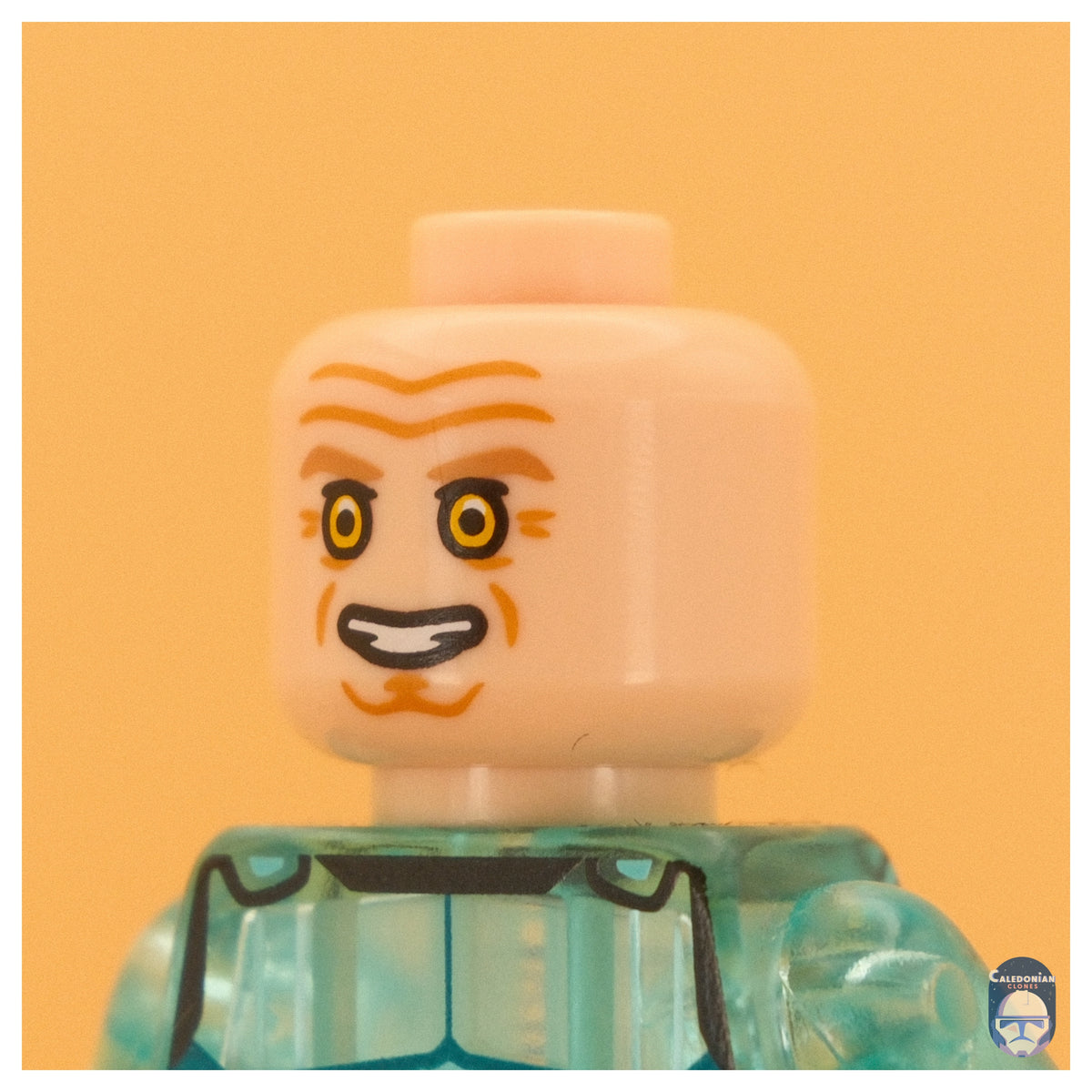 Ra'is Captive Conniver Pupil Head