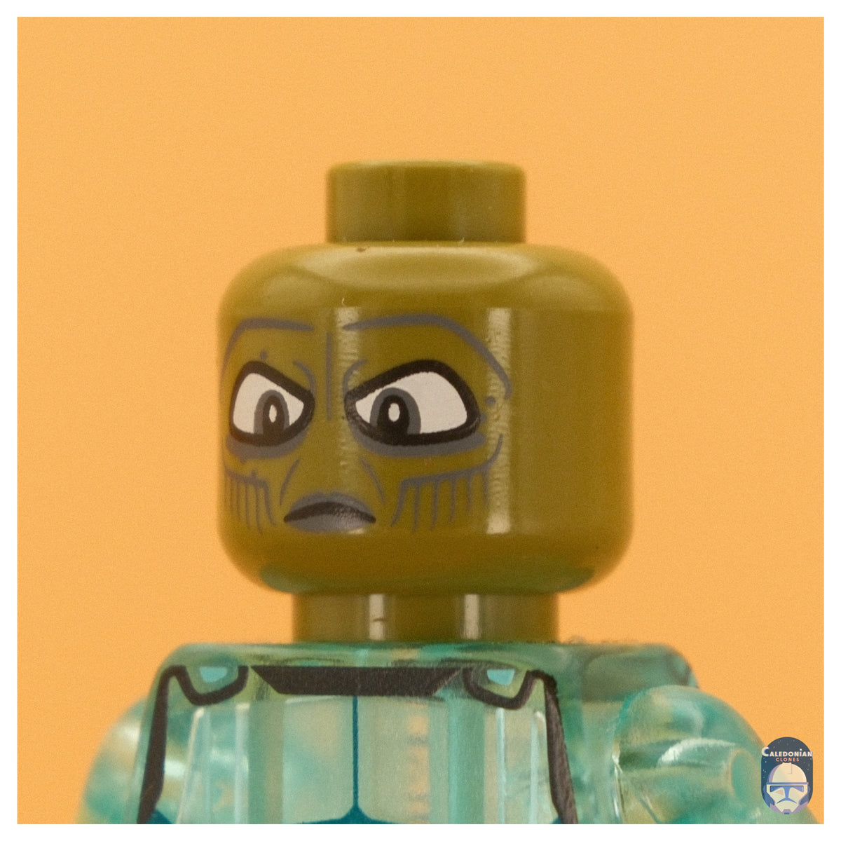 GCC Clawdite Head