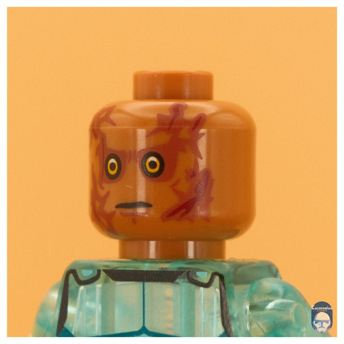 Ra'is Crispy Champion Pupil Head