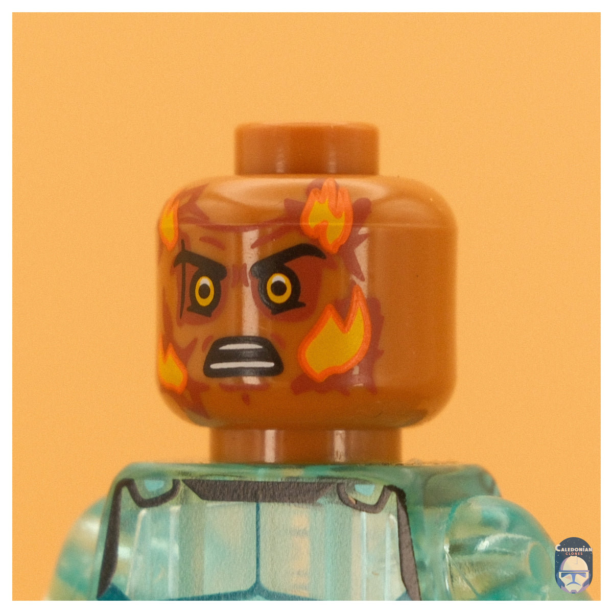 Ra'is Crispy Champion Pupil Head