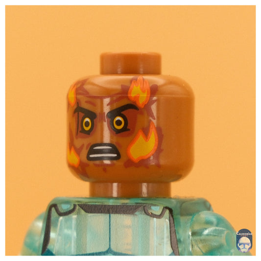 Ra'is Crispy Champion Pupil Head