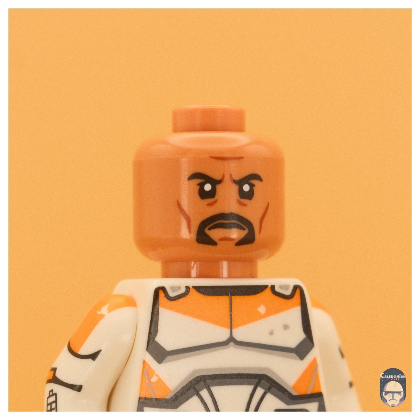 GCC Boil (Full Figure)