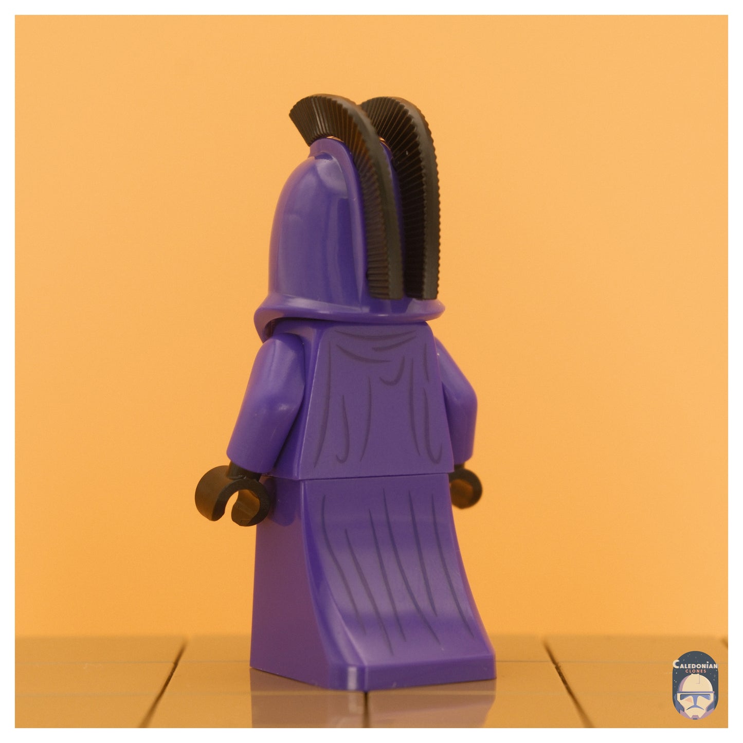 GCC Senate Guard